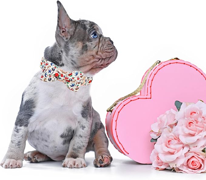 Elegant little tail Dog Collar, Girl or Boy Pet Collars Bowtie Pet Collars Bow Rose Bow for Puppy Adjustable Dog Collar for Medium Dogs