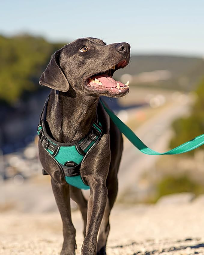 Joytale No Pull Dog Harness for Extra Large Dogs, Reflective Pet Vest with Front Clip, Adjustable Soft Padded Harnesses with Easy Control Handle for Training and Walking, Teal, XL