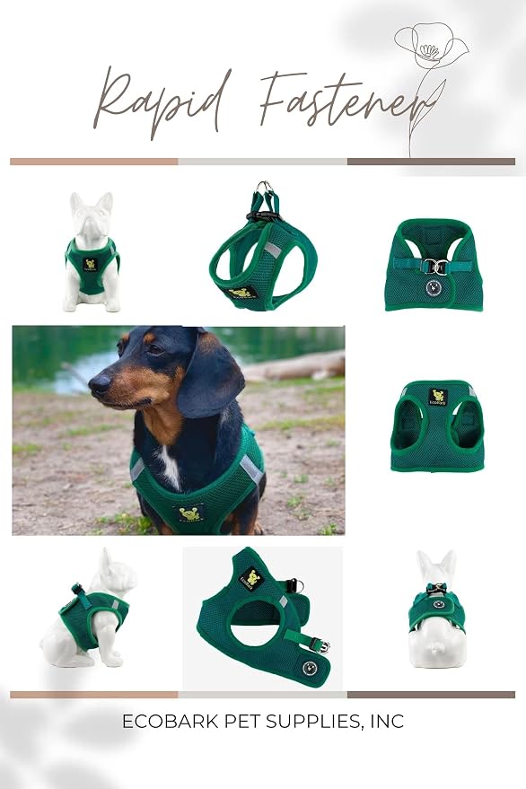 EcoBark Step in Dog Harness -Luxury Soft Harnesses Under 26 lbs - Reflective and Adjustable Chest Body Halter Vest -Soft Luxurious Mesh (Forest Green, XL)