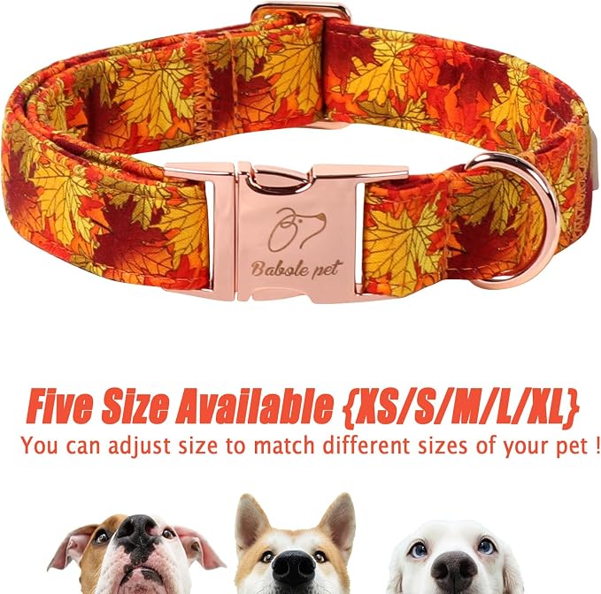 Fall Dog Collar for Small Dogs - Gold Maple Leaves Tanksgiving Puppy Collar, Adjustable Heavy Duty Fall Festivel Cotton Dog Collars with Metal Buckle S