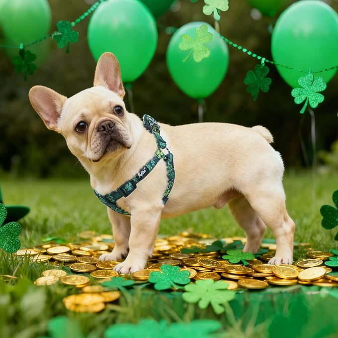 PUPTECK No Pull St. Patrick Dog Harness Soft Adjustable Basic Nylon Step in Puppy Vest Outdoor Walking with ID Tag, Deep Green S