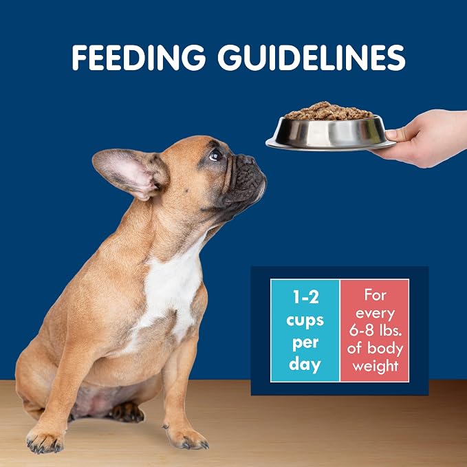 Blue Buffalo Delights Natural Adult Small Breed Wet Dog Food Cups, in Gravy, Prime Rib, NY Strip, and Filet Mignon 3.5-oz (24 Pack- 8 of Each Flavor)