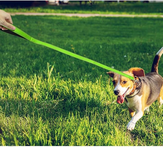 FunTags 4FT Green Reflective Dog Leash for Medium & Small Dogs Training, Soft Padded Handle Comfortable Grip, Heavy Duty Nylon, Reflective for Night Walking, 3/4in Wide