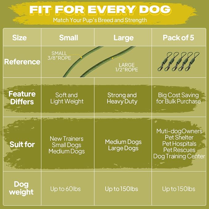 Fida Durable Slip Lead Dog Leash Bulk Pack of 5, Heavy Duty 1/2" x 6 FT Comfortable Strong Rope Slip Lead for Large, Medium & Small Dogs No Pulling Pet Training Leash with Highly Reflective (Mixed)