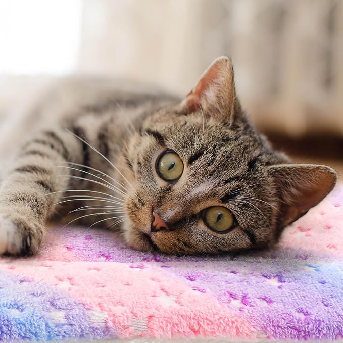 2 Pack Cat Blanket for Indoor Cat, Warm Calming Kitten & Puppy Beds for Anxiety and Stress, Washable Small Dog Mat for Crate, Fuzzy Pet Blankets