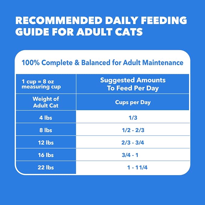 IAMS Healthy Enjoyment Dry Cat Food Chicken & Salmon Recipe, Cat Food Dry Recipe, 15 lb. Bag
