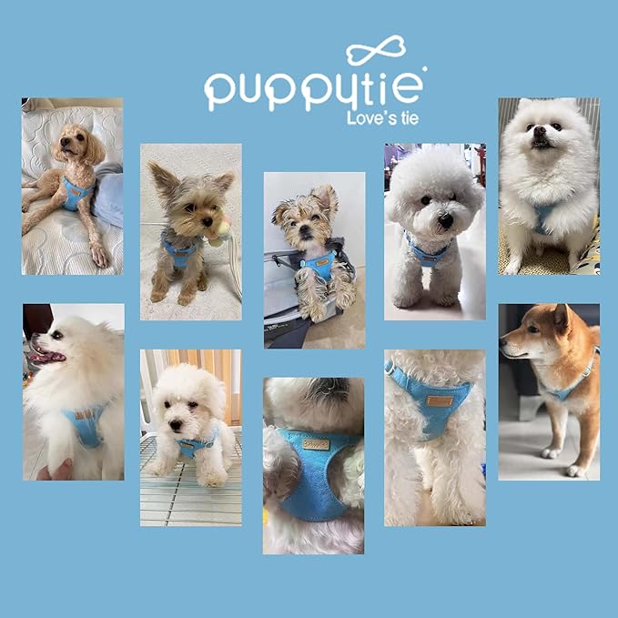 Puppytie xs Dog Harness with Multifunction Dog Leash,Soft Adjustable No Choke Escape Proof Pet Harness Vest,Ocean Blue,XS