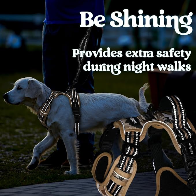 rabbitgoo Dog Harness Small Sized, No Pull Easy On & Off with 3 Buckles Pet Harness, Adjustable Soft Walking Vest with 2 Clips and Handle, Reflective for Small Dogs, Desert Ridge, S