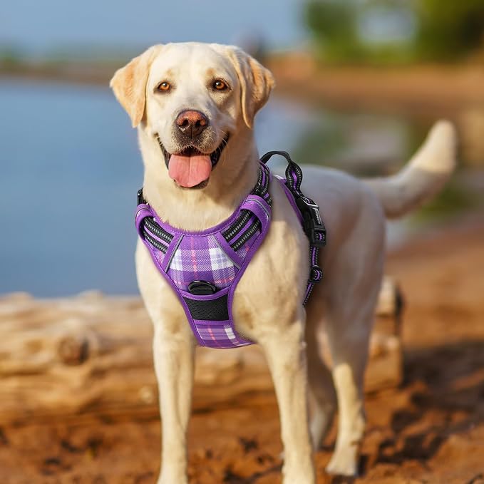 rabbitgoo Dog Harness No Pull with 2 Leash Clips, Adjustable Soft Padded, Reflective Oxford No Choke Pet Vest with Easy Control Handle for Small Dogs, Purple Plaid, S