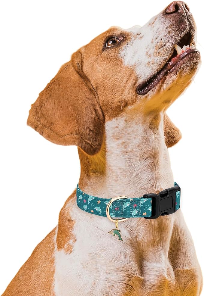Personalized Dog Collars,Adjustable Puppy Collars with Safety Buckle for Small Medium Large Dogs,Cute and Unique Pink Cherry Pattern Pet Collar for Boy Girl Dogs. (Green Dolphin, S)
