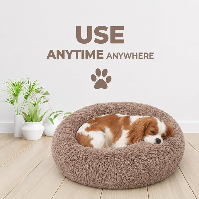 Whiskers & Friends Small Dog Bed Washable, Fluffy Orthopedic Dog Bed Small, Puppy Calming Beds, Large Cat Beds for Indoor Cats - Perfect for Pets Under 25 Pounds - Camel