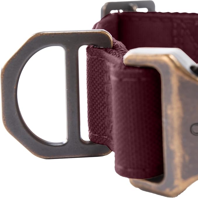 Carhartt Field Dog Collar, Fully Adjustable, Durable 600-Denier Fabric W/Reflective Wordmark for Visibility, Port, Medium