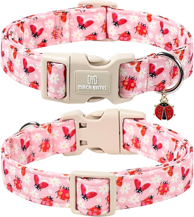 Maca Bates Spring Pink Basic Dog Collar with Ladybug Charm for Medium Girl Boy Dogs, Ladybugs Pattern,Pretty Adjustable Durable Soft Collars Gift for Male Female Puppy