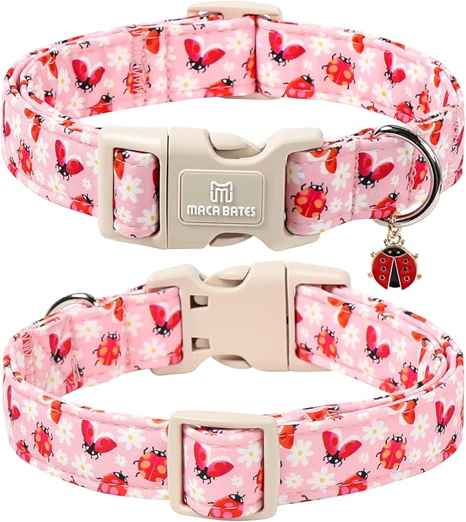Maca Bates Spring Pink Basic Dog Collar with Ladybug Charm for Extra Small Girl Boy Dogs, Ladybugs Pattern,Pretty Adjustable Durable Soft Collars Gift for Male Female Puppy