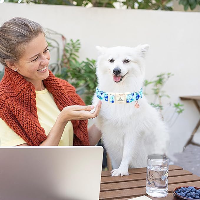 Lionheart glory Dog Collar Blueberries Print Collar for Small Dogs Spring Summer Female or Male Collars Pets Gift Adjustable Heavy-Duty Cute Pet Collars