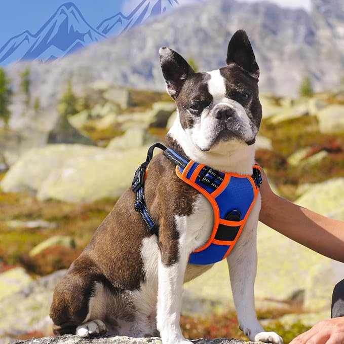 Eagloo Dog Harness for Large Dogs, No Pull Service Vest with Reflective Strips and Control Handle, Adjustable and Comfortable for Walking, No Choke Harness with 2 Metal Rings, Blue & Orange, M