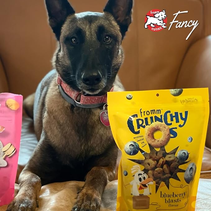 Fromm Crunchy Os Dog Treat Variety Pack - Crunchy Dog Treat Sample Pack (Beef, Chicken, Pork) - Pack of (3) 6 oz Bags