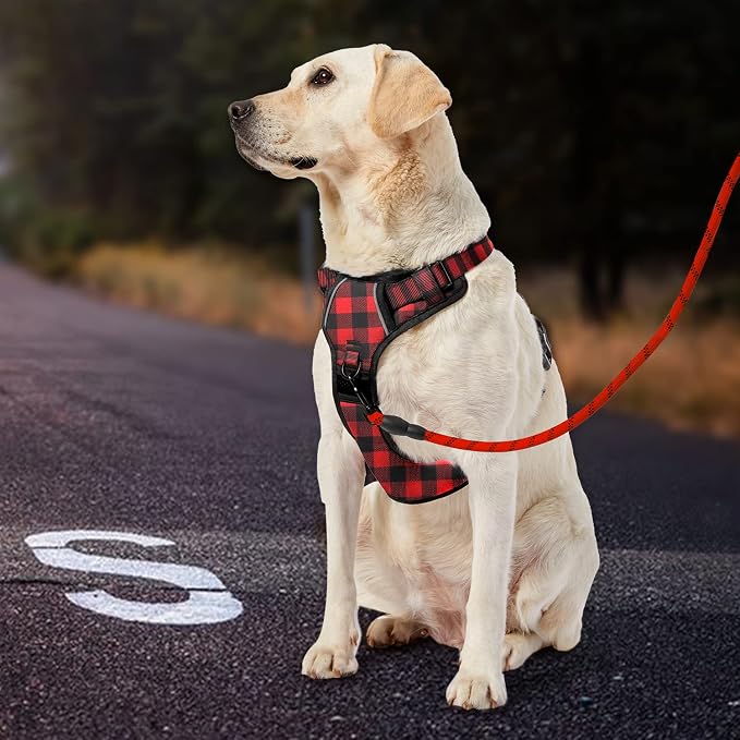 IVY&LANE No Pull Dog Harness with Leash Set, Reflective No Choke Pet Vest,Adjustable Oxford Dog Vest Harness with Easy Control Handle for Large Dogs (Checkered Red,L)