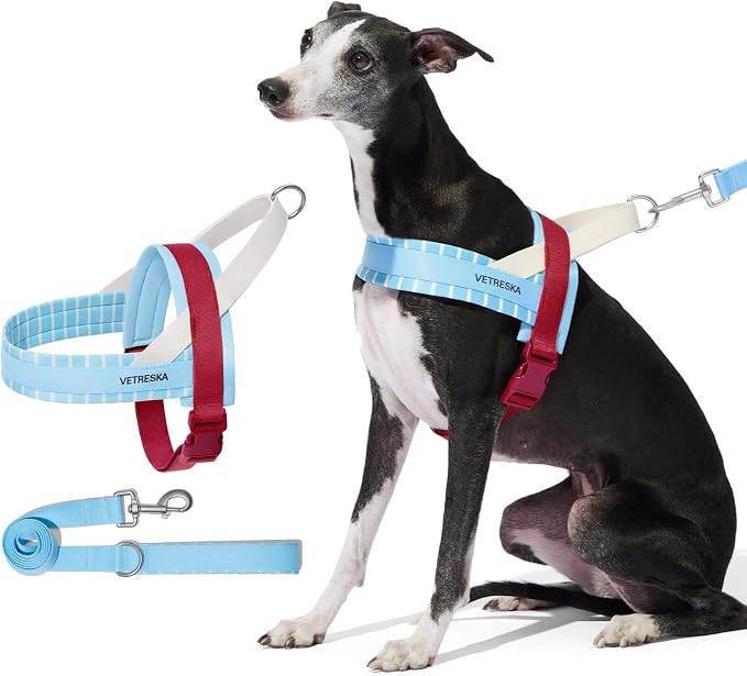 VETRESKA Dog Harness Medium Sized Dog No Pull, Adjustable No Choke Dog Vest, Easy Control & Walk Harness for Large Size Dogs, Pet Vest Harness with Heavy Duty Anti-Tangle Dog Leash, Misty Melo M