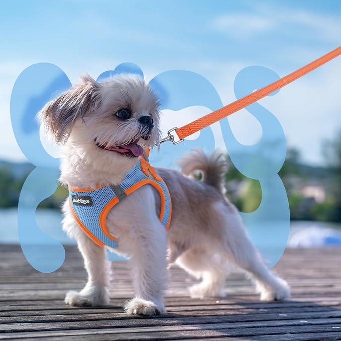 rabbitgoo Dog Harness Small Sized and Leash Set, Step-in Breathable Pet Harness, Soft Walking Reflective Puppy Vest for Small Dogs, Light Blue & Orange, XXS