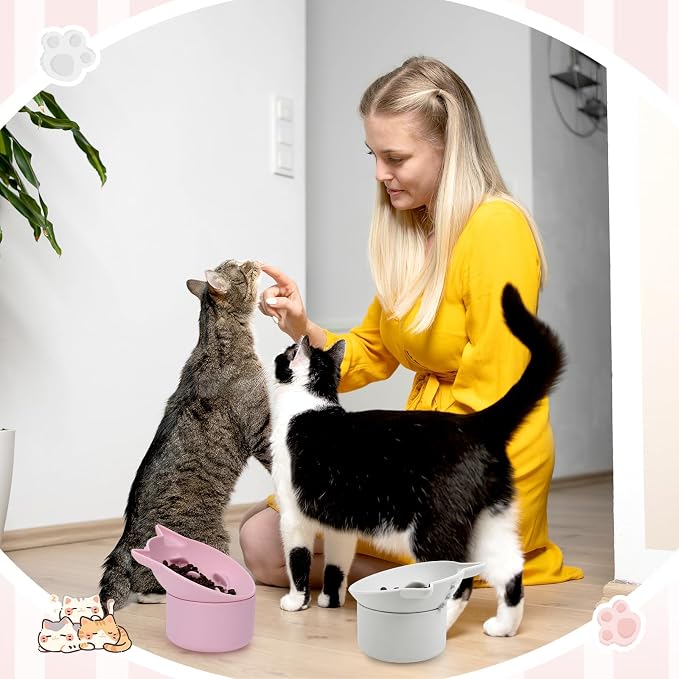 Funnymoom 2 Pack Silicone Cat Slow Feeder, Elevated Slow Feeder Cat Bowl for Dry and Wet Food, Tilted Design with Non Slip Base, Adjustable Angle for Pet(Gray and Pink)