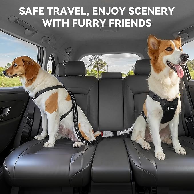 Pawaboo 2Pack Dog Seatbelt for Car, 3-in-1 Dog Car Seat Belt, Shockproof Dogs Tether with Buckle & Hook Latch, Adjustable Reflective Dogs Cars Harness Leash with 360° Lockable Buckle, Gray & Black