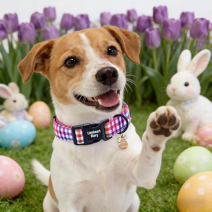Lionheart glory Easter Day Dog Collar - Cute Dog Collars Sturdy Adjustable Buckle Colorful Plaid Collar Male Female Spring Pet Collars for Small Dogs Puppy