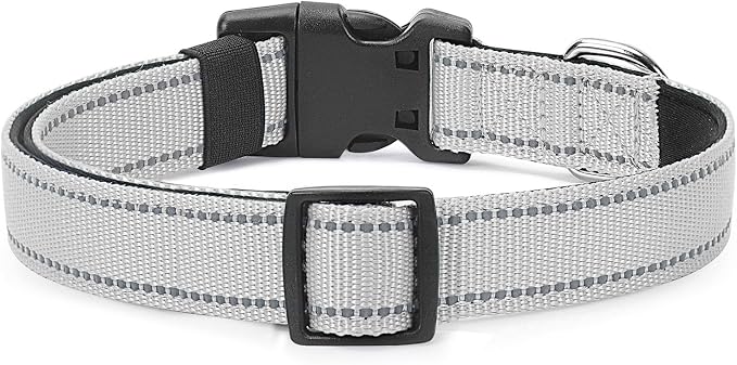 Reflective Dog Collar Padded with Soft Neoprene Breathable Quick Release Basic Dog Collars for Medium Large Dogs Boy Girl Silver