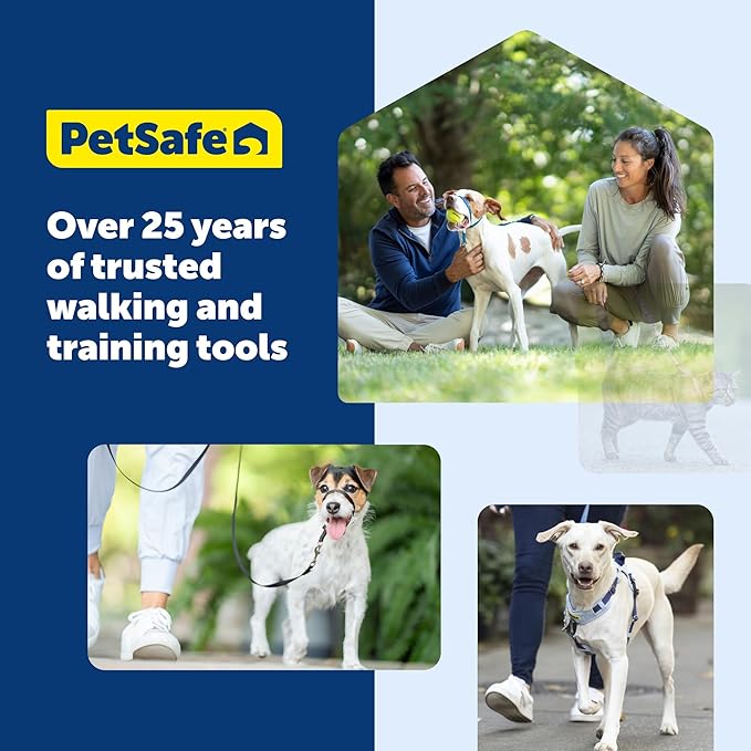 PetSafe Nylon Dog Leash Strong, Durable, Traditional Style Lead with Easy to Use Bolt Snap for Small, Medium and Large Dogs 3/8" x 6', Royal Blue