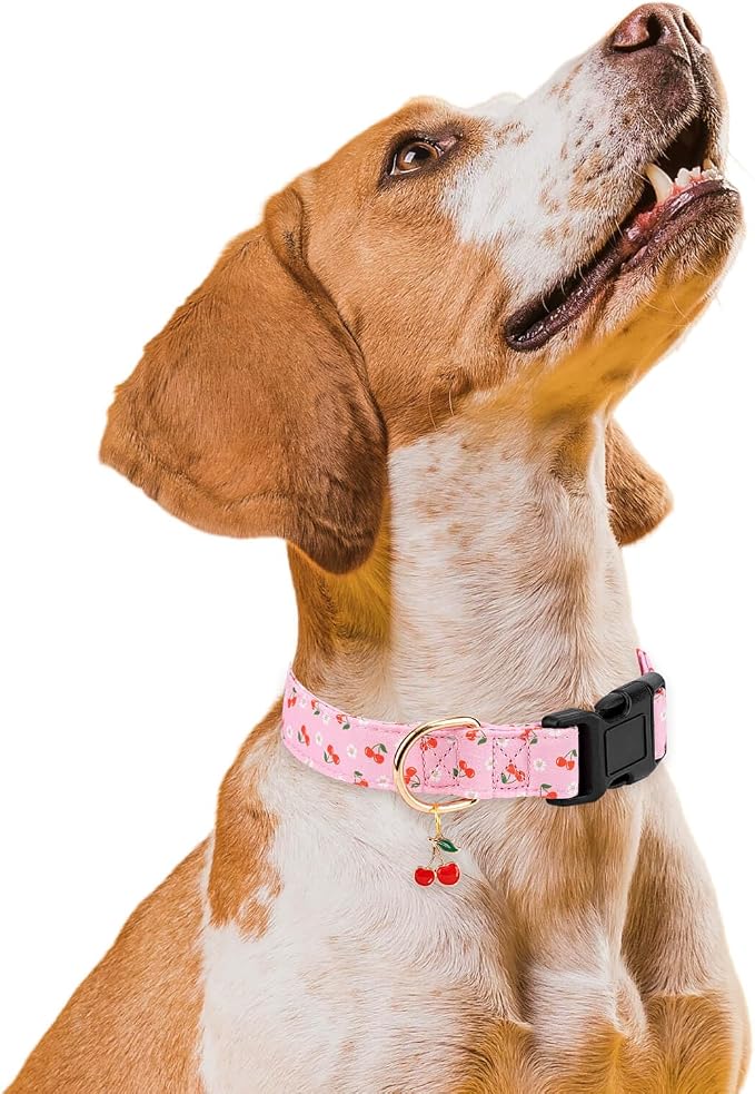 Personalized Dog Collars,Adjustable Puppy Collars with Safety Buckle for Small Medium Large Dogs,Cute and Unique Pink Cherry Pattern Pet Collar for Boy Girl Dogs. (Pink Cherry, L)