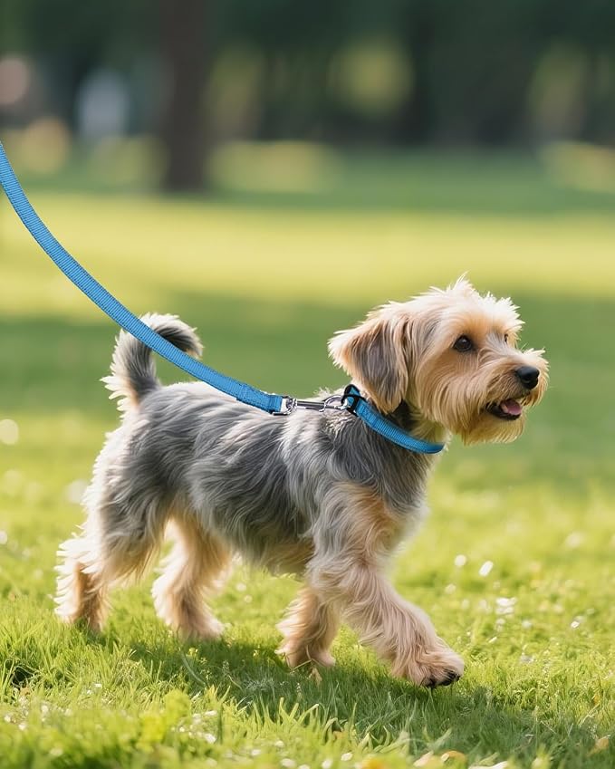 Joytale Dog Collars for Small Dogs, Feather-Light Double-Sided Reflective Nylon Collar for Night Safety, Adjustable Quick-Release for Growing Puppies, Sky Blue, S (5/8" Width)