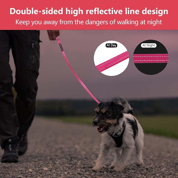 Reflective 6 FT Dog Leash, Premium Traditional Style Puppy Leash with Easy to Use Collar Hook for Small, Medium, and Large Breed Puppies (Rose Red, 3/4 in x 6 ft)