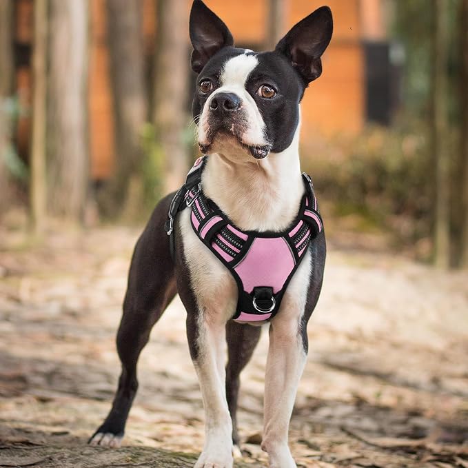 rabbitgoo Dog Harness Small Sized, 3 Buckles Easy On & Off No Pull Pet Vest, Soft Padded Walking Pet Harness with Control Handle, Adjustable and Reflective, Light Pink, S