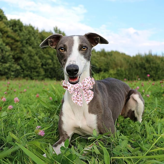 Unique style paws Cartoon Dog Collar with Bowtie Spring Summer Puppy Collar with Flower for Small Medium Large Boys Girls Dogs