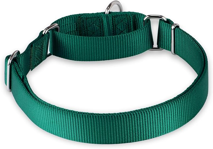 Hyhug Martingale Collar for Dogs Extra Large Green |Escape - Proof Heavy Duty Nylon Durable No Pull, Ideal for Training & Daily Walks