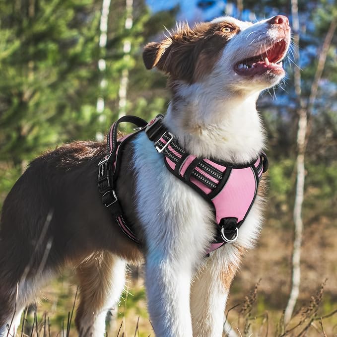 rabbitgoo Dog Harness Medium Sized, 3 Buckles Easy On & Off No Pull Pet Vest, Soft Padded Walking Pet Harness with Control Handle, Adjustable and Reflective, Light Pink, M
