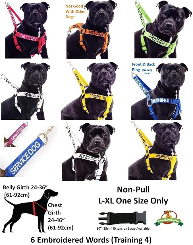 Dexil Training (in Training/Do Not Disturb) Blue Warning Dog Colour Coded Padded 1.8m 6ft Lead Leash