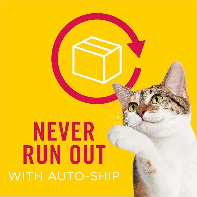 Purina Friskies Lil’ Lickables with Chicken Lickable Cat Treats - 16 oz (Pack of 32)