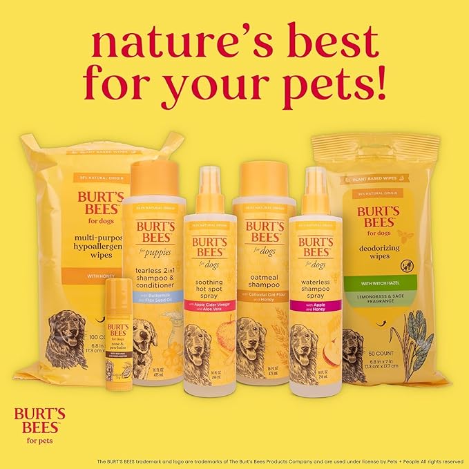 Burt's Bees for Pets Oatmeal Dog Shampoo with Honey, Soothing Formula for Itchy and Sensitive Dog Skin, Colloidal Oat Flour and Honey, pH Balanced, Sulfate-Free, 16 Fl Oz