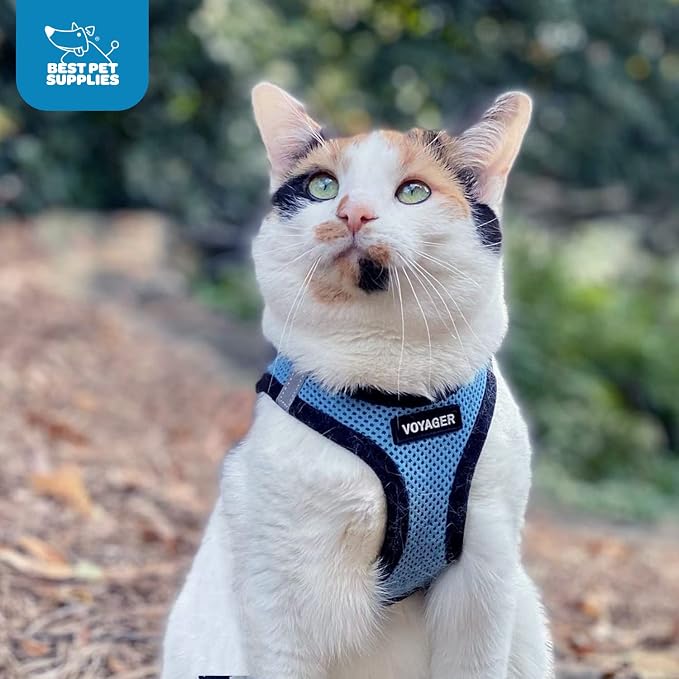 Best Pet Supplies - All Weather Mesh / Plush, Reflective, No Pull Harness for Small, Medium Dogs, Cats - Secure with Hook & Loop Fastener, Buckle, Double D-Rings - Baby Blue/Black Trim, XL