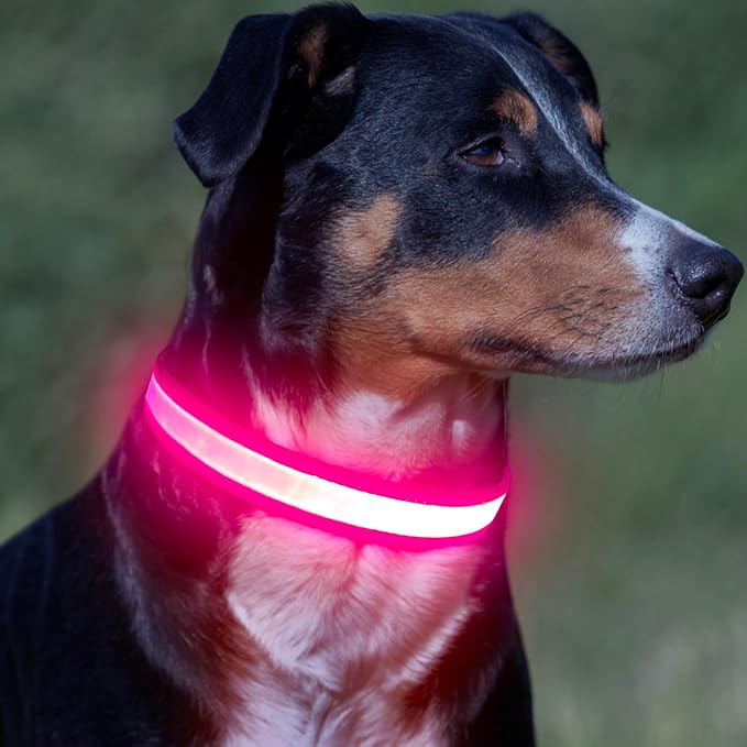 Vizpet LED Dog Collar, Light Up Dog Collar Adjustable USB Rechargeable Super Bright Safety Light Glowing Collars for Dogs (Large, Pink)