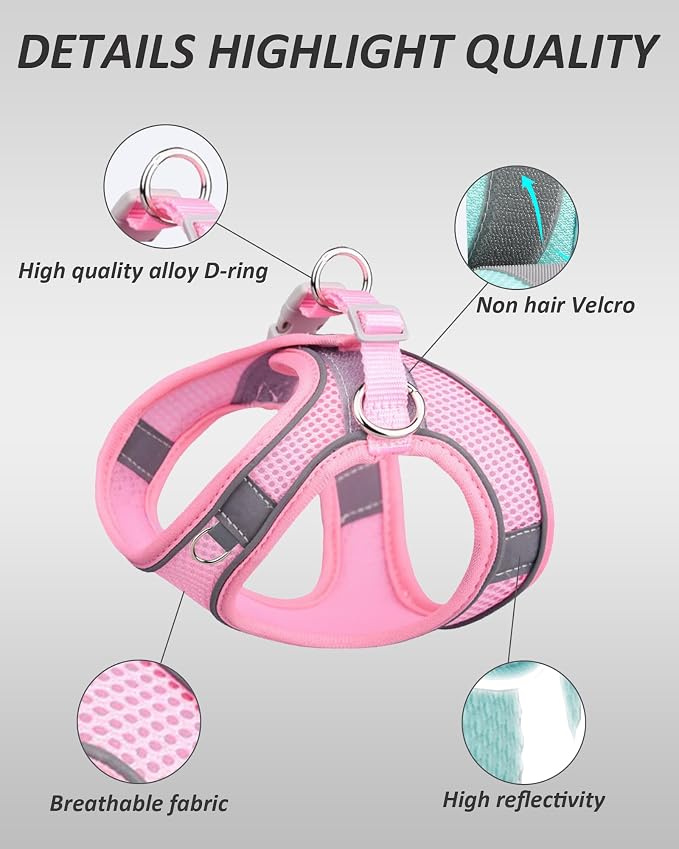 Solmoony Dog Harness for Small Medium Dogs No Pull, Puppy Harness and Leash Set, Puppy Harness, Step in Harness for Small Dogs, mesh Dog Harness. (Bule, M)
