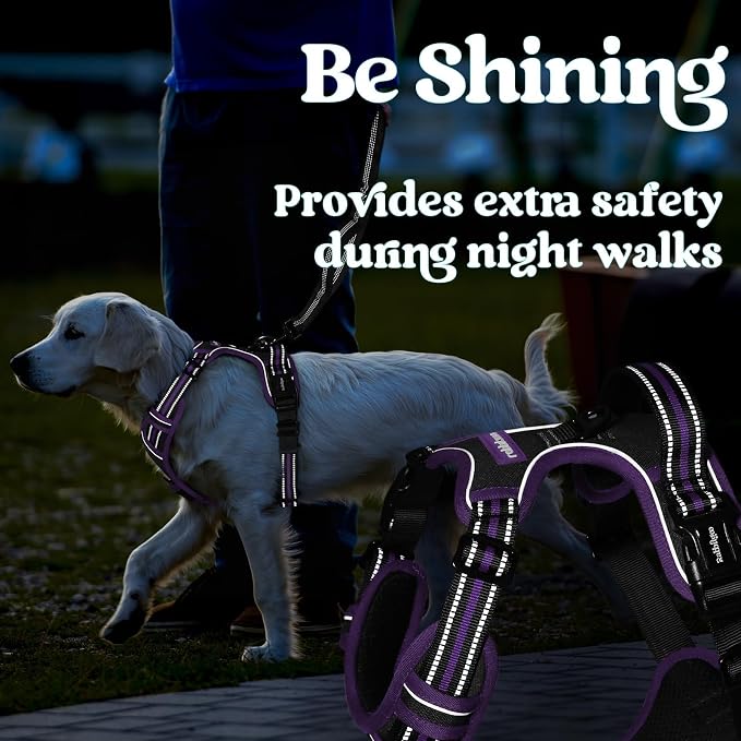 rabbitgoo Dog Harness Small Sized, No Pull Easy On & Off with 3 Buckles Pet Harness, Adjustable Soft Walking Vest with 2 Clips and Handle, Reflective for Small Dogs, Black & Purple, S
