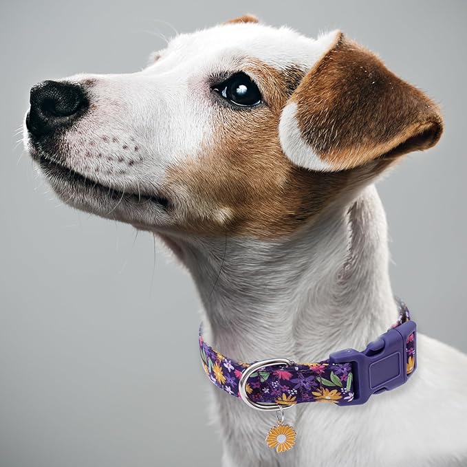 Faygarsle Cotton Dog Collar Cute Dog Collars for Small Medium Large Dogs Purple Yellow Floral Colored Options Soft and Fancy Pet Collars for Girls Flower Pattern for Girl Dog Collar S