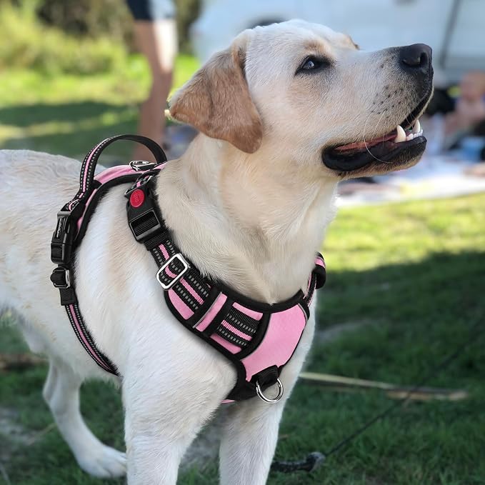 rabbitgoo Dog Harness for Large Dogs, 3 Buckles Easy On & Off No Pull Pet Vest, Soft Padded Walking Pet Harness with Control Handle, Adjustable and Reflective, Light Pink, L