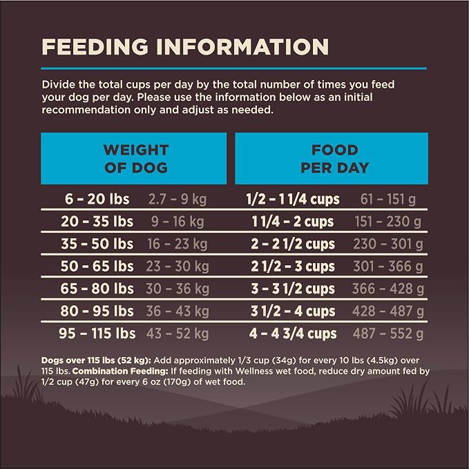 Wellness CORE Adult Dry Dog Food, Grain Free Kibble, Natural, High Protein, Chicken Free, Whitefish, Herring and Salmon Recipe, 12 lb Bag