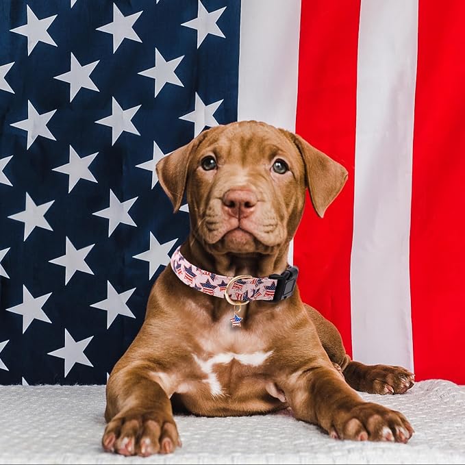 Faygarsle Cotton Dogs Collar Cute 4th of July Independence Day Dog Collars Pink Blue American Flag Star Patterns Dog Collarfor Girl Female Boy Male Small Medium Large Dogs M