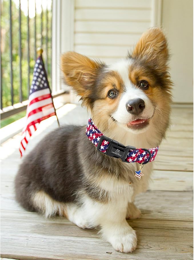 Lionheart glory American Flag Dog Collar, 4 of July Patriotic Independence Dog Collar Heavy Duty Adjustable Collars for Medium Dogs Pet Gift Summer Collars