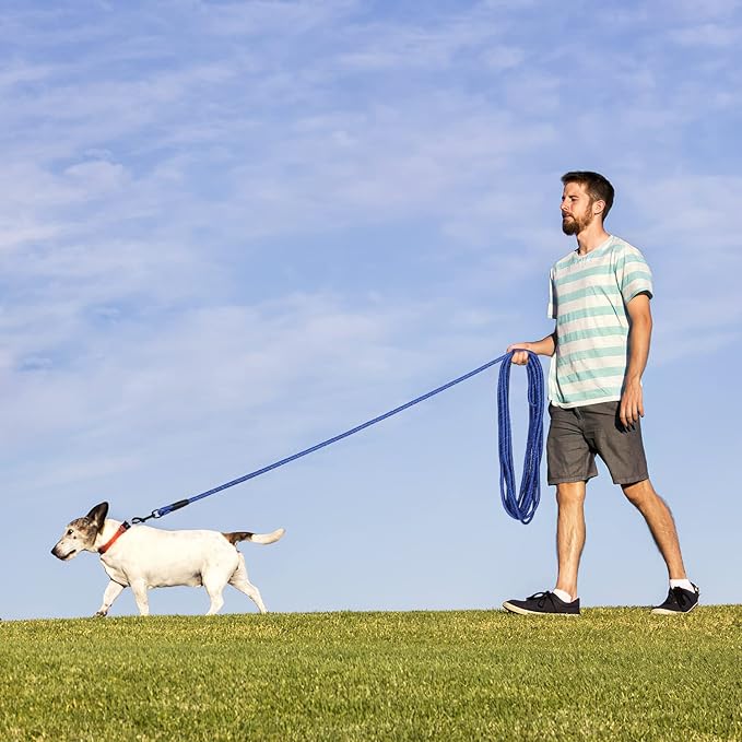 Long Dog Leash for Training 20Ft-Reflective Nylon Rope with Swivel Hook-Recall Agility Lead for Large Small Medium Dogs Outside Walking Hiking-Royal Blue