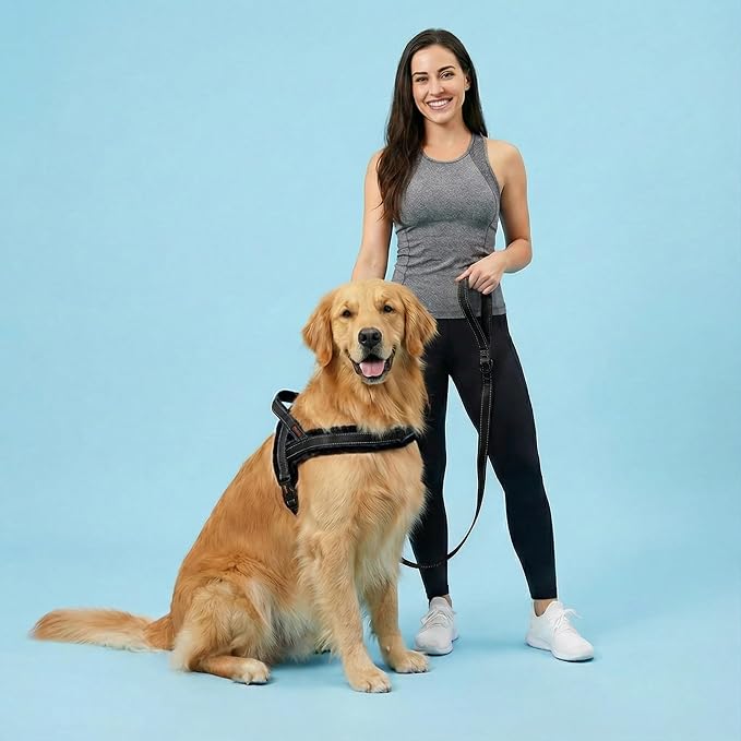 Didog Soft Flannel Padded Dog Vest Harness, No Pull/Quick Fit Reflective Dog Strap Harness, Easy for Training Walking (S:Chest 18-22", Black)